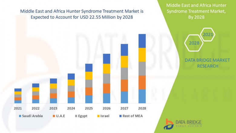 Middle East and Africa Hunter Syndrome Treatment Market Size, Share, Trends, and Analysis