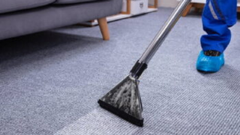How to Prepare Your Pets for Professional Carpet Cleaning Services
