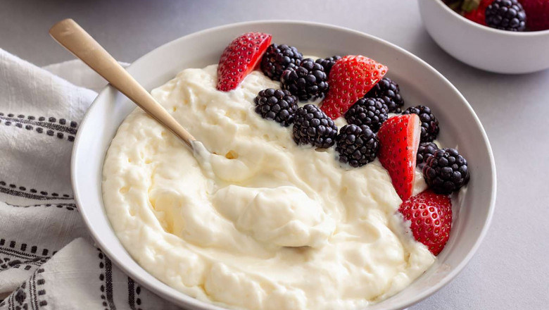 Guide to Setting Up a Greek Yogurt Manufacturing Plant