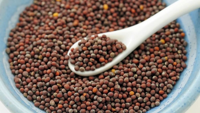 Cost Analysis for Setting up a Mustard Seed Processing Plant | Report by IMARC Group