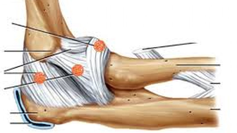 Comprehensive Forecast on Artificial Tendons and Ligaments Market Growth to 2030
