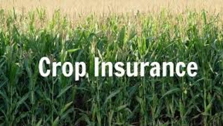 In-Depth Analysis of Global Crop Insurance Market Growth, Challenges, and Forecast to 2030