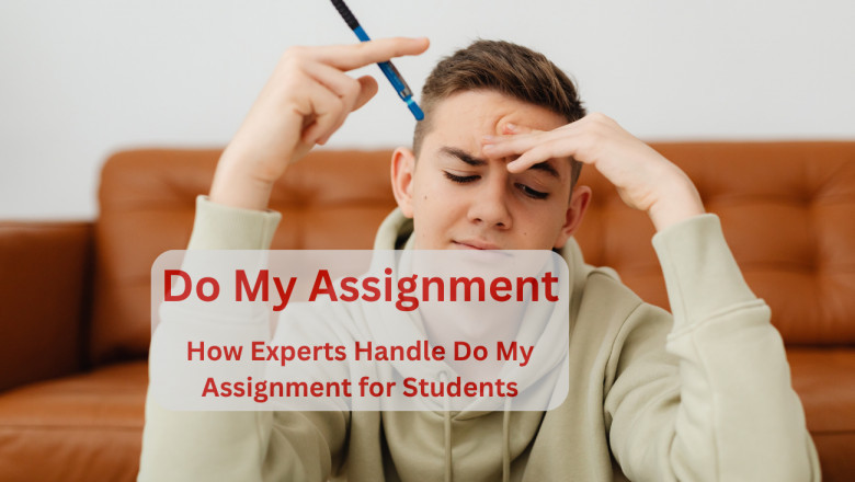 How Experts Handle Do My Assignment for Students