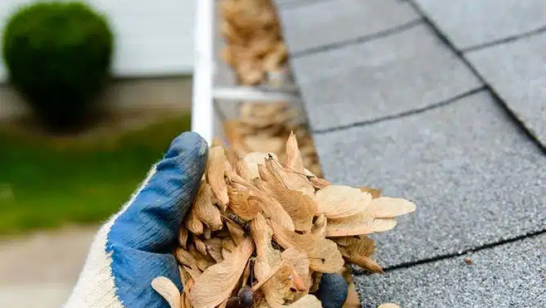 Gutter Cleaning: Why It's Essential for Your Home’s Health