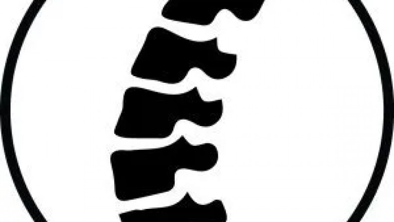 Tampa Family Chiropractic - Chiropractor in Tampa, FL