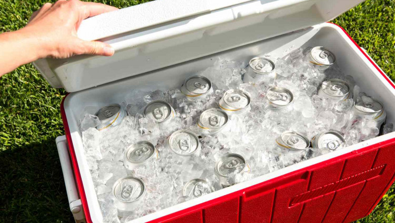 Ice Boxes Market Opportunities Expand With Urban Picnic and Outdoor Dining Culture Trends