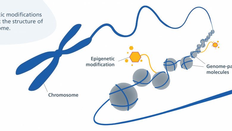 Top Trends Driving the Global Epigenetics Market With Forecast Analysis Through 2030