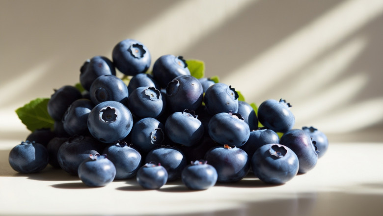 Blueberries Price Trend 2025: Latest Price Fluctuations, Market Database and Forecast