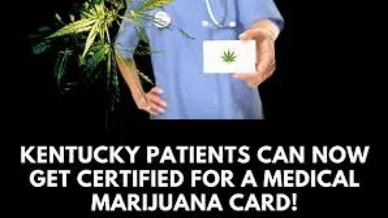 Discover the Best Free Medical Marijuanas Doctors Near Me