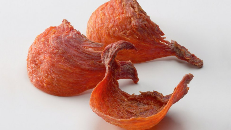 Discover the Unique Charm of Orange Bird Nest