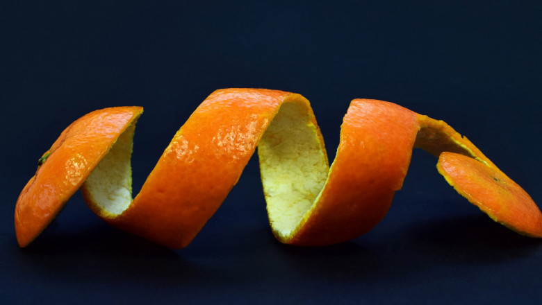Products from Food Waste Market | Size and Share, Analysis, Growth by 2025-2033