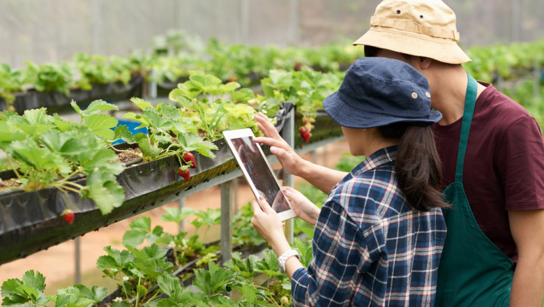 Government Support and Subsidies Boost Growth of Agricultural Textiles Market in Developing Regions