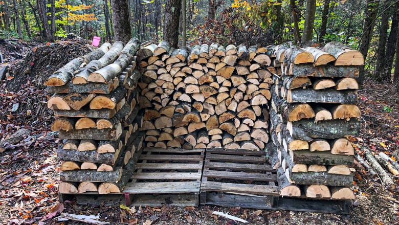 Buy Kindling Wood Online – Easy, Fast &amp; Reliable Firewood