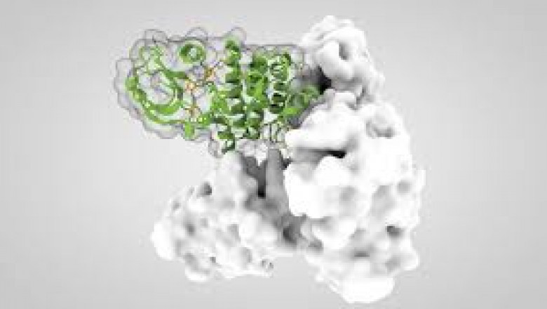 Global Kinase Inhibitor Market Size, Trends, Growth and Forecast 2021–2030