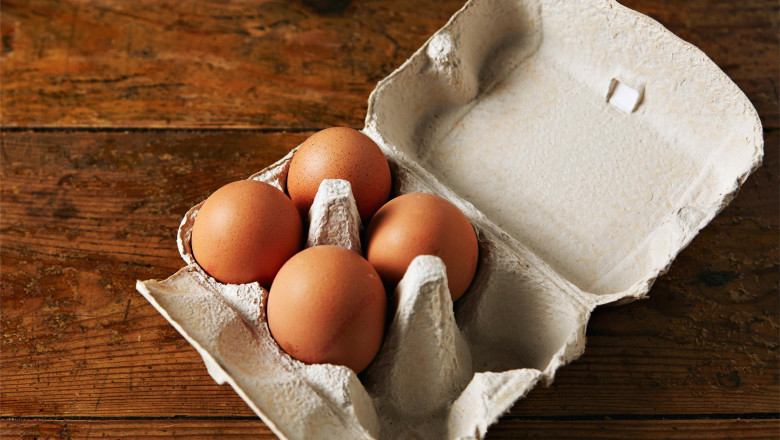 Why Buy Egg Cartons in Bulk?