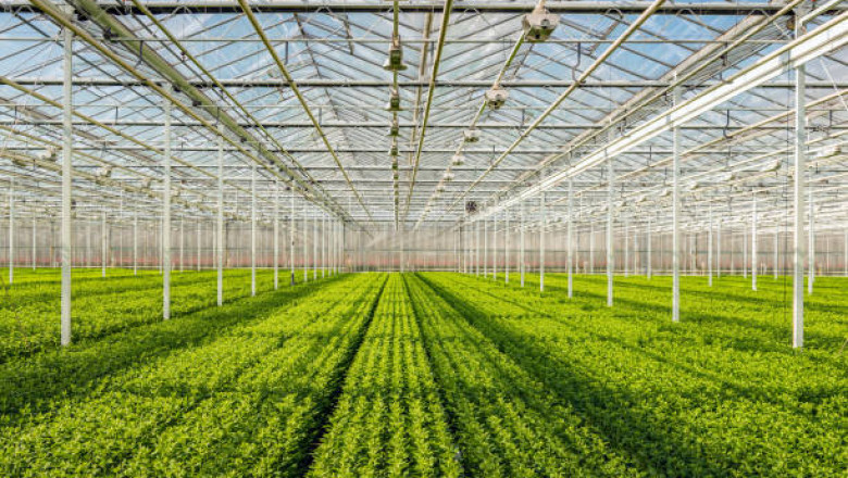 Global Commercial Greenhouse Market Forecast 2021-2030: Trends, Innovations and Growth Opportunities