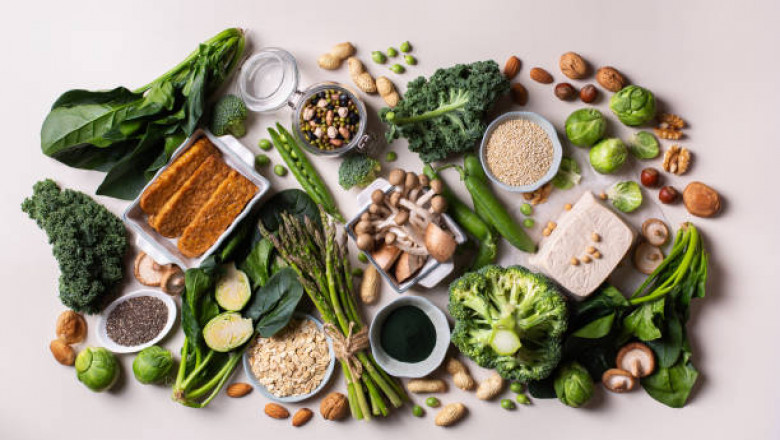 Global Plant-Based Protein Market Outlook 2021-2030: Growth Trends, Demand Forecast and Key Players
