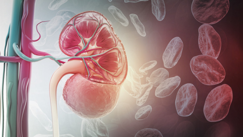 Hyperphosphatemia Market Analysis 2021-2030: Trends, Growth Drivers and Competitive Landscape