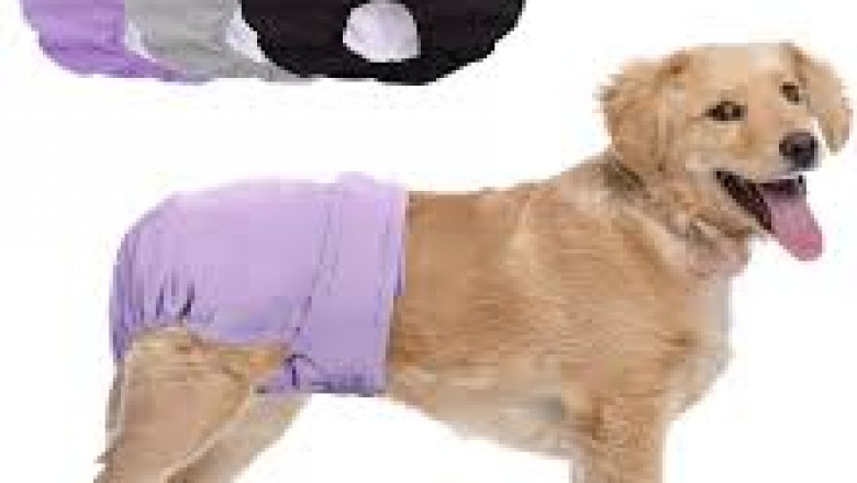 Pet Diaper Market country-level insights highlighting market drivers and barriers to growth