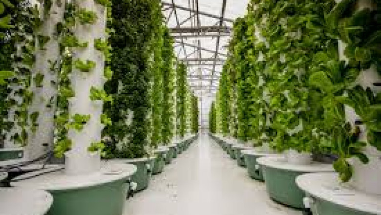 The Global Vertical Farming Market is expected to reach USD 26.37 Billion by 2030, at a CAGR of 24.42% during the forecast period 2022 to 2030