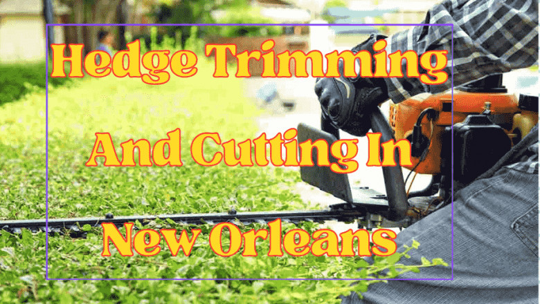 Audubon Tree Care: Trusted Tree Trimming in New Orleans
