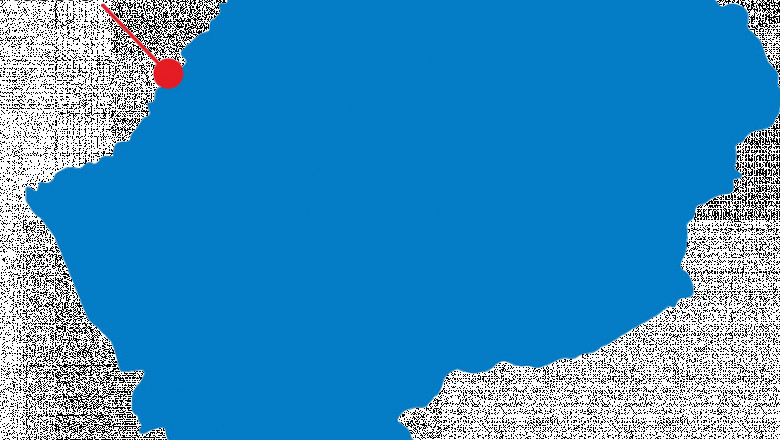 Lesotho Import Data: Accurate Insights for Global Traders