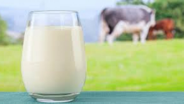 Organic Milk Market retailer strategies to meet increasing demand for premium organic dairy