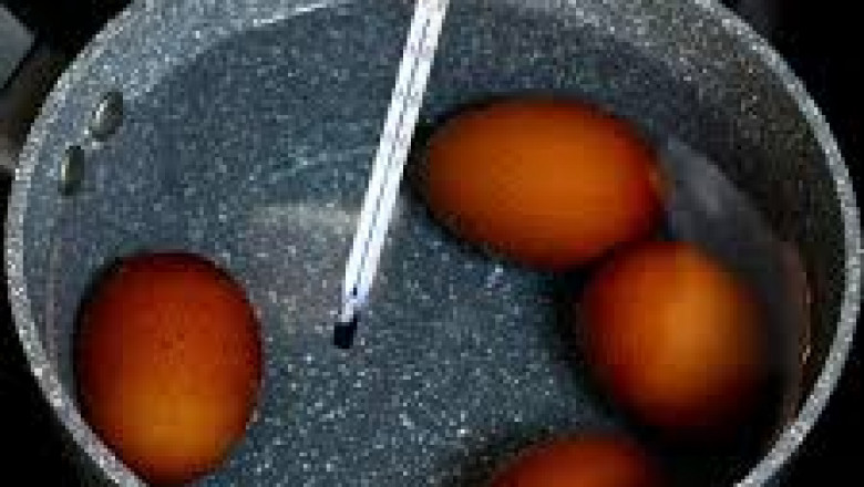Pasteurized Eggs Market Sustainability Initiatives and Their Effect on Brand Image and Profitability