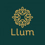 llumdiffusers