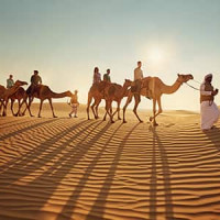 mydubaidesertsafari