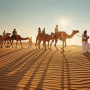 mydubaidesertsafari