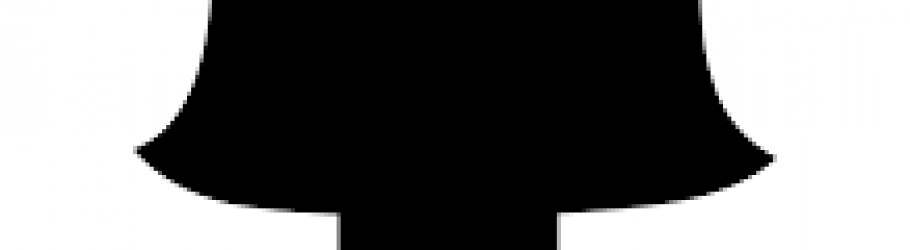 Sakshi24