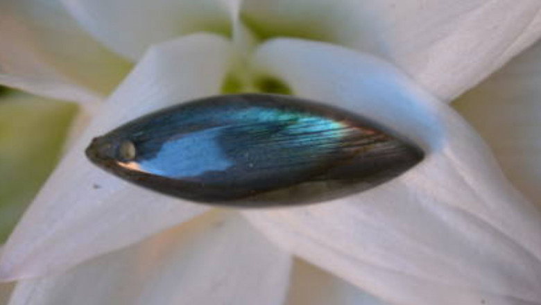 The Metaphysical Properties of Labradorite stone: Enhancing Intuition and Transformation