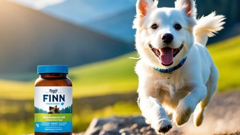 Finn Dog Supplements: Boost Your Canine's Health