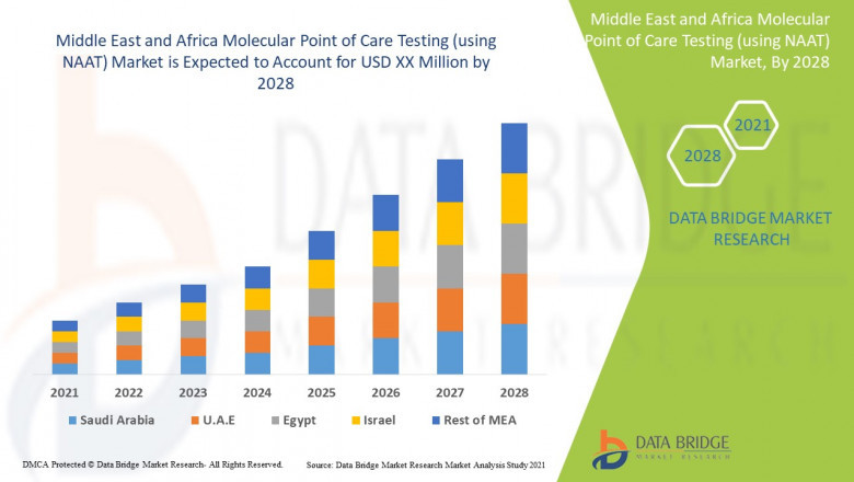Middle East Molecular Point of Care Testing Market Shows Steady Progress