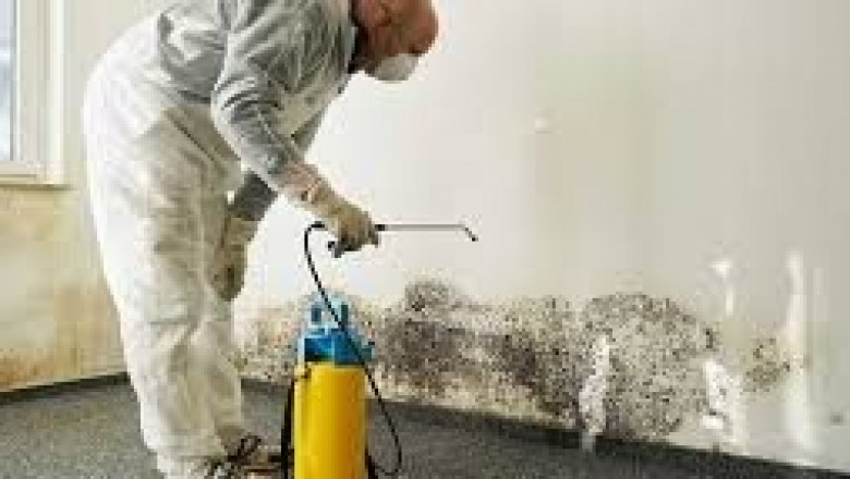 Comprehensive Mold Remediation — Ensure a Healthier Home Environment