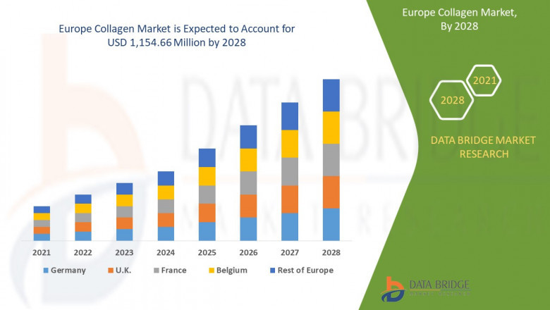Europe Collagen Market: Size, Share, and Growth Forecast 2024–2028