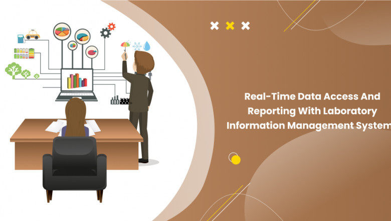 Real-Time Data Access and Reporting Via Laboratory Information Management Systems