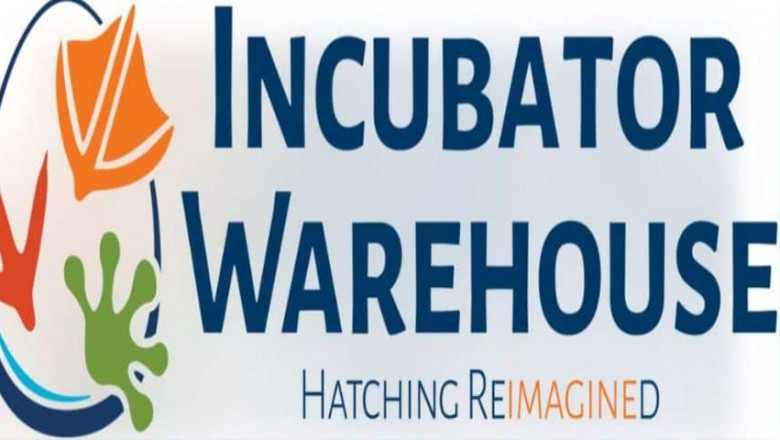 Quail Incubator Reviews: What Users Are Saying in 2025