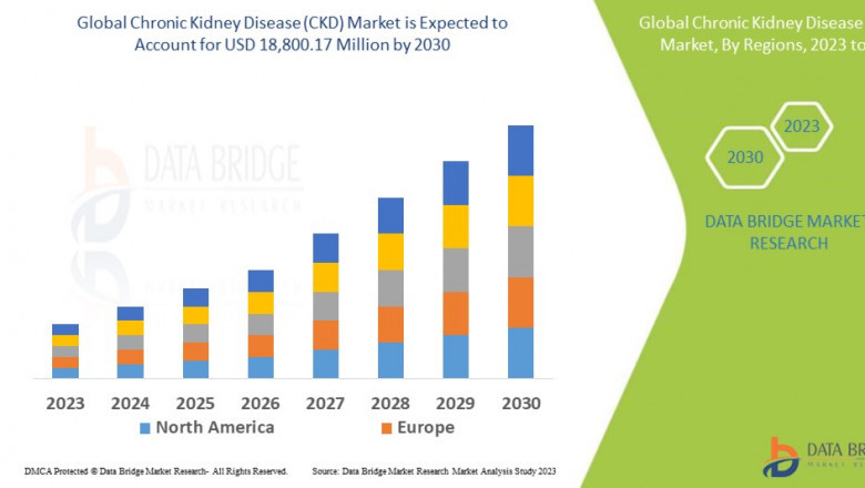 Chronic Kidney Disease (CKD) Market Expands as Diagnosis and Treatment Options Evolve