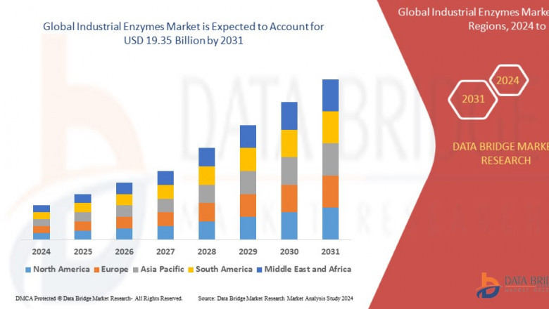 Industrial Enzymes Market Gains Traction Driven by Demand in Food and Biofuel Sectors