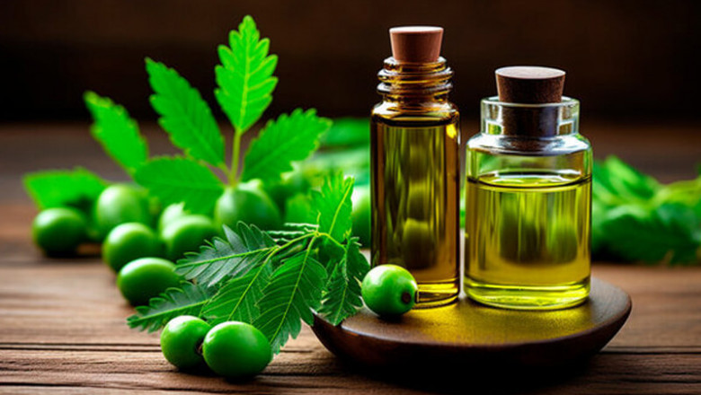 Roadmap for Setting up a Neem Oil Processing Plant Project | Report by IMARC Group