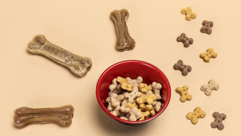 Tender Bites: The Best Soft Dog Treats Every Pet Parent Needs to Try