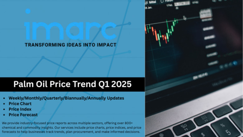 Palm Oil Price Trend, Real-Time Price Fluctuations and Forecast Data