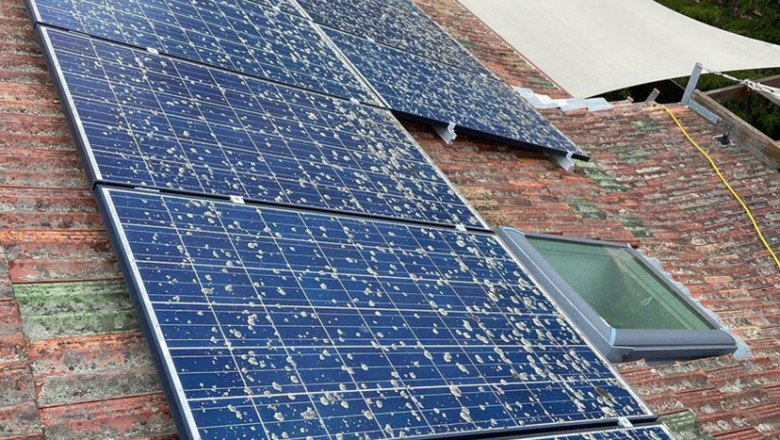 Roa: Top Solar Panel Cleaning SYD