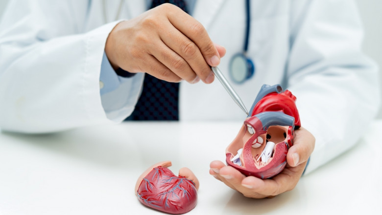 Gallbladder Stone Operation Cost in India: What You Need to Know