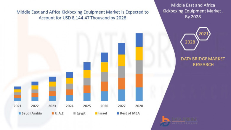 Middle East and Africa Kickboxing Equipment Market Revenue Analysis: Growth, Share, Value, Size, and Scope