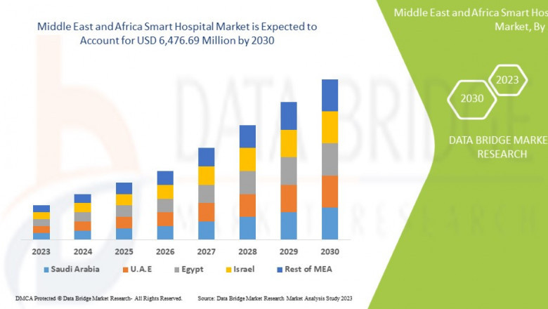 Middle East and Africa Smart Hospital Market Challenges: Growth, Share, Value, Size, and Insights