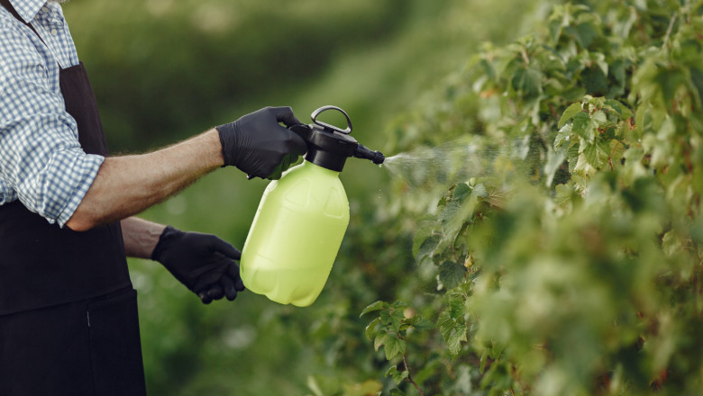 Yes, Organic Farms Use Pesticides — How Ethical Farmers Do Safer Pest Control