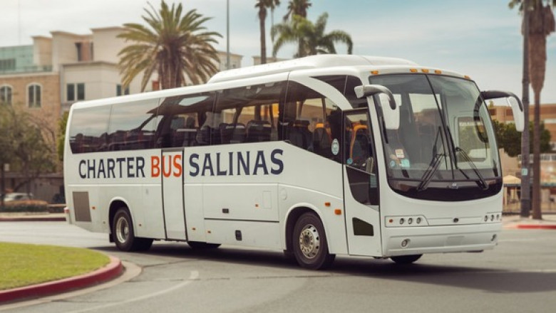 Affordable 15-Passenger Minibus Rental for Small Group Trips